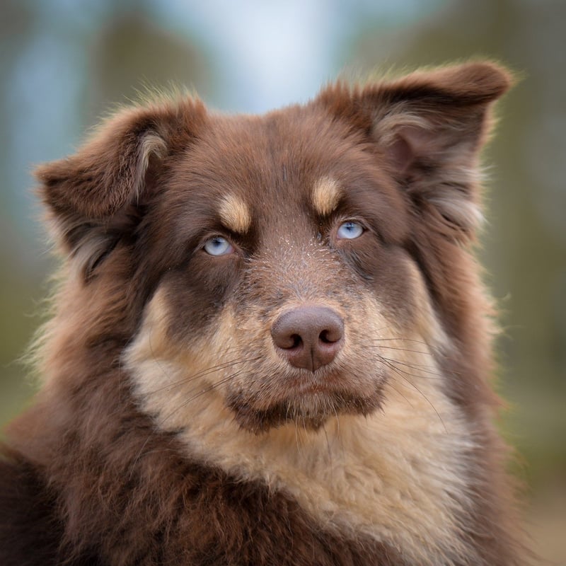 Elegant Portrait